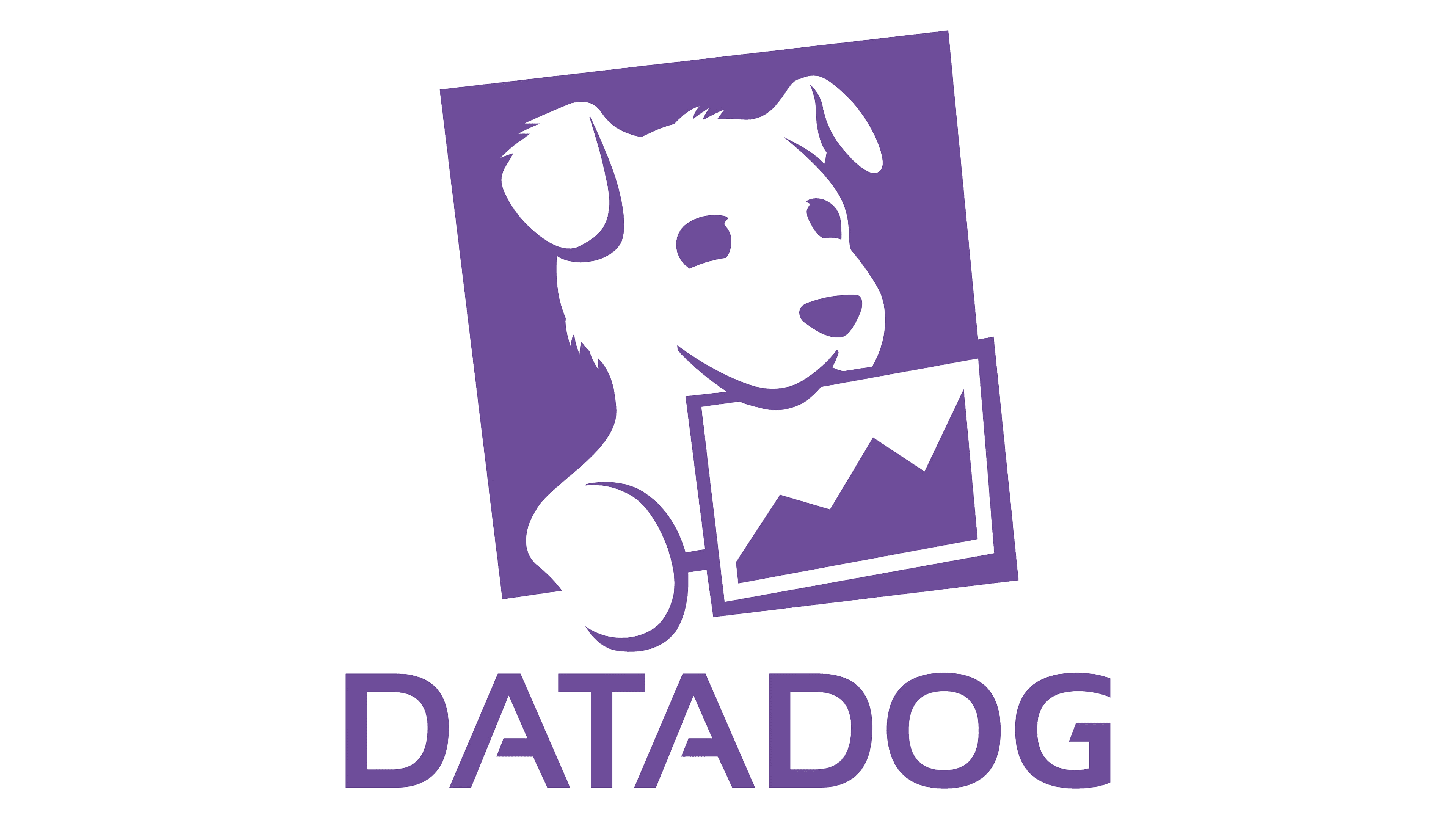 Datadog 🐶